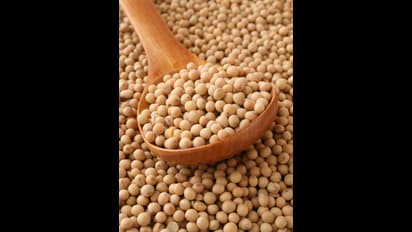 ಸೋಯಾಬಿನ್ ತಿನ್ನೋದ್ರಿಂದ ನಪುಂಸಕರಾಗ್ತಾರ ಗಂಡಸರು…? ವೈರಲ್ ವಿಡಿಯೋದ ಸತ್ಯಾಸತ್ಯತೆ ಏನು? 