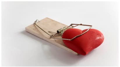 വീഡിയോ കോളില് പോലും ഒന്ന് കണ്ടിട്ടില്ല; ഏഴ് വര്ഷം നീണ്ട 'പ്രണയ തട്ടിപ്പില്' 67 -കാരിക്ക് നാല് കോടി നഷ്ടം