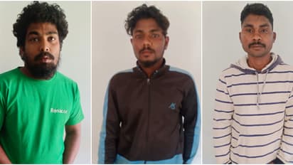 കൊണ്ടുപോയത് ഒരു ക്വിന്റൽ ഉണ്ടക്കാപ്പി, പനമരത്ത് തോട്ടത്തില് കടന്നുകയറി മോഷണം നടത്തിയ 3 യുവാക്കൾ പിടിയിൽ