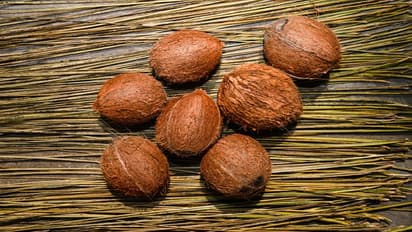 Is coconut oil edible or hair oil? Supreme Court answers, settles a 20-year-old debate