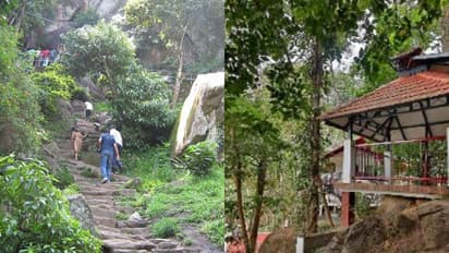 ചരിഞ്ഞ പ്രദേശത്ത് നിർമാണം, ഉരുൾപൊട്ടൽ സാധ്യത; വയനാട്ടിൽ 7 റിസോർട്ടുകൾ പൊളിച്ച് നീക്കണം, ഉത്തരവിറക്കി 