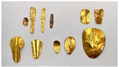 ഒന്നും രണ്ടുമല്ല, കണ്ടെത്തിയത് സ്വർണ്ണ നാവും നഖങ്ങളുമുള്ള 13 ഈജിപ്ഷ്യൻ മമ്മികൾ 