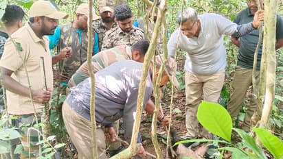Kodagu: ವಿರಾಜಪೇಟೆ ಪಟ್ಟಣದ ಮಗ್ಗುಲಲ್ಲಿಯೇ ಹುಲಿ ಓಡಾಟ ಆತಂಕದಲ್ಲಿ ಜನರು