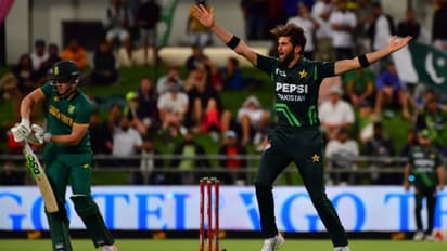 ബാബറും റിസ്വാനും മിന്നി, ക്ലാസന് വെടിക്കെട്ടിലും ദക്ഷിണാഫ്രിക്കക്ക് കൂറ്റൻ തോല്വി; പാകിസ്ഥാന് പരമ്പര