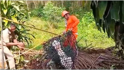 25 അടിയിലേറെ താഴ്ച, 5 അടിയിലേറെ വെള്ളം; ഫയർ ഫോഴ്സ് എത്തി, അയൽവാസിയുടെ കിണറ്റിൽ വീണ ആടിനെ രക്ഷിച്ചു