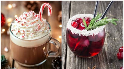Christmas 2024: Christmas Punch to Cranberry Mojito– 5 Festive drinks to serve