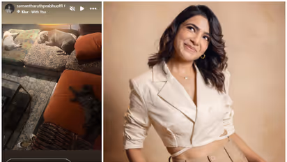 Samantha Ruth Prabhu shares adorable moment with pets ahead of holiday break
