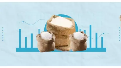 Your Complete Checklist for Choosing the Right Sugar Stocks