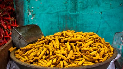 Year Ender 2024: Kai Chutney to Lakadong Turmeric - 10 unique Indian foods awarded GI status