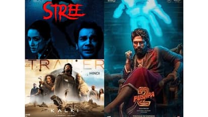 Allu Arjun's HIT film Pushpa 2 tops 2024 ticket sales on BookMyShow