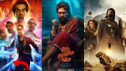 Pushpa 2, Stree 2 or Kalki 2898 AD: THIS movie sold most tickets in 2024; Check HERE
