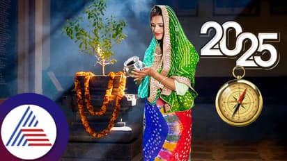 New Year 2025: नए साल पर तुलसी से जुड़े ये काम करें, मिलेगी खुशहाली
