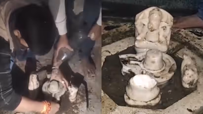 UP: Another abandoned Shiv Temple discovered in just days in Aligarh [WATCH]