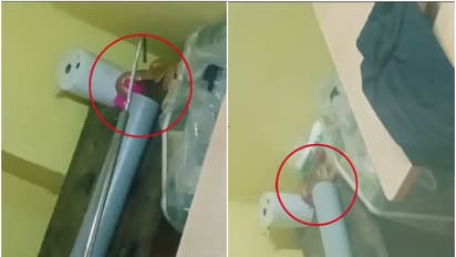 കൊല്ലത്ത് കുടുംബാരോഗ്യ കേന്ദ്രത്തിൽ പാമ്പ് കയറി; കണ്ടത് കുത്തിവെയ്പ്പ് സാമഗ്രികൾ സൂക്ഷിക്കുന്ന മുറിയിൽ