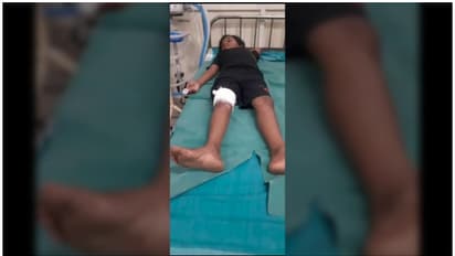 ശബരിമലയിൽ കാട്ടുപന്നി ആക്രമണത്തിൽ 9 വയസുകാരന് പരിക്ക് 