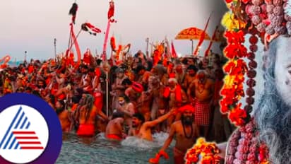 Maha Kumbh Mela 2025 : ಮೈಸೂರಿನಿಂದ ಪ್ರಯಾಗ್‌ರಾಜ್‌ಗೆ ವಿಶೇಷ ರೈಲು, ಬುಕಿಂಗ್ ವಿವರ ಇಲ್ಲಿದೆ