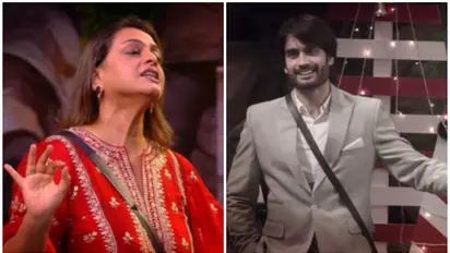 Bigg Boss 18: Vivian Dsena calls Shilpa Shirodkar 'liar' in explosive argument [WATCH]