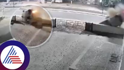 8 ಪಲ್ಟಿಯಾದ ಕಾರು, ಹರಹಾಸದಿಂದ ಹೊರಬಂದು ಚಹಾ ಕೇಳಿದ ಪ್ರಯಾಣಿಕರು;ವಿಡಿಯೋ!