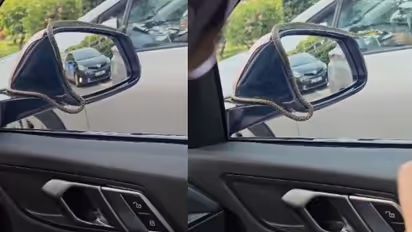 'അടുത്ത കാട്ടിൽ ഇറക്കി വിട്ടേക്കൂ'; ഓടുന്ന കാറിന്റെ സൈഡ്‍വ്യൂ മിററിൽ പാമ്പ് 