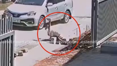 റോഡ് മുറിച്ചുകടക്കാൻ ശ്രമിക്കവേ ഓടയിലേക്ക് തല കീഴായി വീണു; നെയ്യാറ്റിൻകരയിൽ സ്ത്രീക്ക് തലയ്ക്ക് ഗുരുതര പരുക്ക്