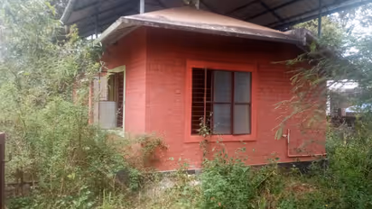 ലക്ഷങ്ങള് ചെലവിട്ട് ഒന്നാന്തരം കെട്ടിടമുണ്ടാക്കി, ഇന്ന് ഇഴജന്തുക്കളുടെ താവളം; കാടുകയറി കടപ്പുറം മത്സ്യഭവന്