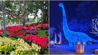 'ഇലുമിനേറ്റിങ് ജോയ്, സ്പ്രെഡിങ് ഹാര്‍മണി', ആഘോഷിക്കാൻ കനകക്കുന്നിലേക്ക് പോര്, വസന്തോത്സവം നാളെ തുടങ്ങും