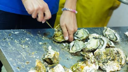 మీ మేడపై ఖాళీ స్థలం ఉందా? ముత్యాల సాగు చేస్తే లక్షల్లో సంపాదన 