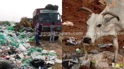 തമിഴ്നാട്ടിൽ മാലിന്യം തള്ളിയത് അന്തർസംസ്ഥാന തർക്കമാക്കരുതെന്ന് ഹരിത ട്രൈബ്യൂണൽ; ഇരു സംസ്ഥാനങ്ങൾക്കും നിർദേശം