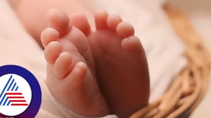 ಚಿತ್ರದುರ್ಗ ಖಾಸಗಿ ಶಾಲಾ ಆವರಣದಲ್ಲಿ ನವಜಾತ ಶಿಶುವಿನ ಅರ್ಧ ಮೃತದೇಹ ಪತ್ತೆ! 