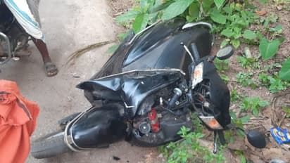 സ്കൂട്ടറിൽ യാത്ര ചെയ്യുന്നതിനിടെ കാട്ടുപോത്ത് ആക്രമിച്ചു; രണ്ട് യുവാക്കൾക്ക് പരിക്ക്, ആശുപത്രിയിലേക്ക് മാറ്റി