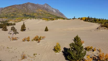 మంచు కురిసే ఎడారిని ఎప్పుడైనా చూశారా..? ప్రపంచంలోనే అతి చిన్నఎడారిలో వింతలు , విశేషాలెన్నో.