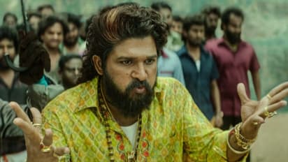 നേപ്പാളിലും ബോക്സ് ഓഫീസ് റെക്കോര്‍ഡുമായി 'പുഷ്‍പ 2'; 20 ദിവസം കൊണ്ട് നേടിയത്