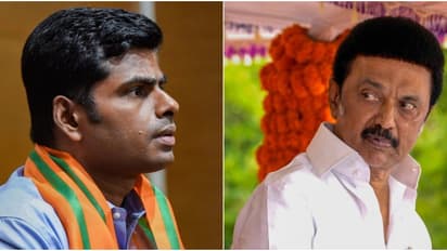 எங்கள பழி வாங்குறத விட்டுட்டு! சென்னையில் ஒரே நாளில் 8 இடங்களில் செயின் பறிப்பு சம்பவத்தை பாருங்க! அண்ணாமலை! 