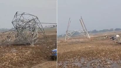 Madhya Pradesh: 3 workers killed, 8 injured as transmission tower collapses in Sidhi (WATCH)