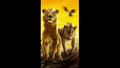 Mufasa The Lion King OTT: அடேங்கப்பா!  ரூ.6000 கோடி வசூல் செய்த; முஃபாசா ஓடிடி ரிலீஸ் தேதி அறிவிப்பு!