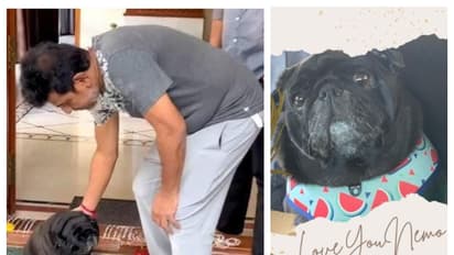 ಶಿವಣ್ಣ ಮನೆ ನಾಯಿ ನೀಮೋ ನಿಧನ, ಕಣ್ಣೀರು ಉಕ್ಕಿಸುವ ಪತ್ರ ಬರೆದ ಗೀತಾ ಶಿವರಾಜ್‌ಕುಮಾರ್!