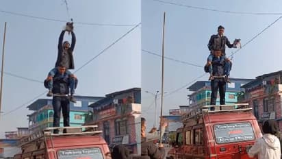 'ശരിക്കും ഹീറോകളാണ് നിങ്ങൾ'; ഇലക്ട്രിക് വയറിൽ കുടുങ്ങിയ പ്രാവിനെ രക്ഷിക്കാൻ യുവാക്കൾ ചെയ്തത്