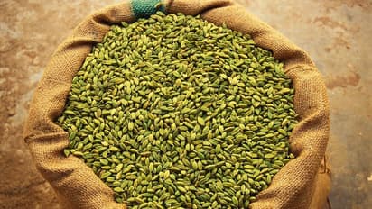 ഏലക്കയുമായി പോകുന്ന ലോറി, പിന്നിൽ ഒരു വാൻ, ഒരാൾ ചാടി ലോറിയിൽ കയറി; മോഷ്ടിച്ചത് ഒരു ചാക്ക്, 3 പേർ പിടിയിൽ