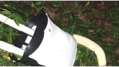 20,000 രൂപ വില, അഞ്ചര അടി നീളം; ക്രിസ്മസ് ദിനത്തിൽ സാന്താ ക്ലോസിനെ അടിച്ചുമാറ്റി, കഷണങ്ങളാക്കി പറമ്പിൽ തള്ളി