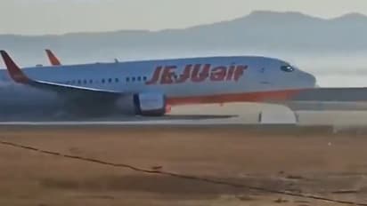 ಕೊರಿಯಾ ವಿಮಾನ ಪತನಕ್ಕೆ ಕಾರಣವಾಯ್ತಾ ಬೆಲ್ಲಿ ಲ್ಯಾಂಡಿಂಗ್?  ಏನಿದು ತುರ್ತು ಭೂಸ್ಪರ್ಶ?