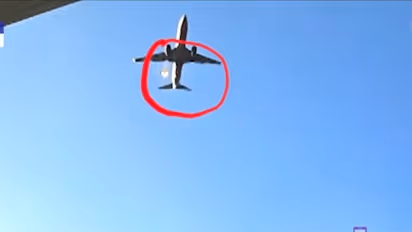 SHOCKING footage shows bird strike on Jeju air flight moments before deadly crash in South Korea (WATCH)