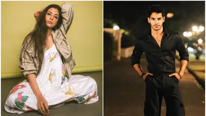 Year Ender 2024: From Tabu to Ishaan Khatter, 5 Indian stars who made their Hollywood debut