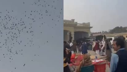 അമ്പമ്പോ, വിമാനം വാടകയ്ക്കെടുത്തു, വധുവിന്റെ വീടിന് മുകളിൽ പണം വർഷിച്ച് വരന്റെ പിതാവ്?