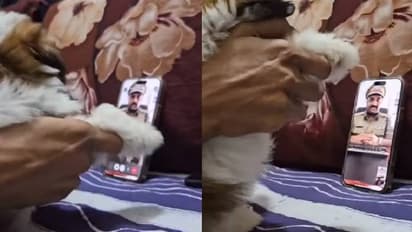 'സാർ, നിങ്ങൾക്കെന്നെ കാണുന്നില്ലേ സാർ, പോയോ?'; തട്ടിപ്പുകാർക്ക് എട്ടിന്റെ പണികൊടുത്ത് യുവാവ്