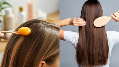 തലമുടി കൊഴിച്ചില് തടയാന് പരീക്ഷിക്കേണ്ട ഹെയര് പാക്കുകള്