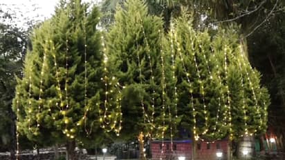 ಹೊಸ ವರ್ಷಾಚರಣೆಗೆ ಕಾಫಿನಾಡಿನತ್ತ ಪ್ರವಾಸಿಗರ ದಂಡು: ಹೋಂ ಸ್ಟೇ, ರೆಸಾರ್ಟ್ ಹೌಸ್ಫುಲ್!