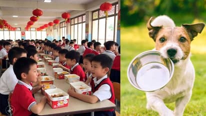 स्कूल में बच्चों को कुत्तों वाला खाना? अभिभावकों का गुस्सा फूटा!
