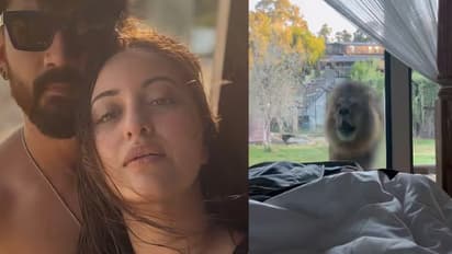 സൊനാക്ഷിയുടെയും ഭര്‍ത്താവിന്‍റെയും ബെഡ്ഡിന് അരികെ സിംഹം; വീഡിയോ വൈറല്‍