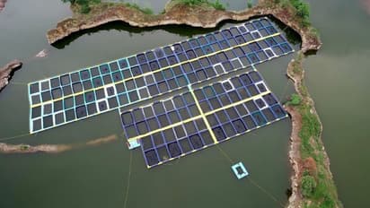 India's Blue economy gets boost in Chattisgarh; Supply fish across country