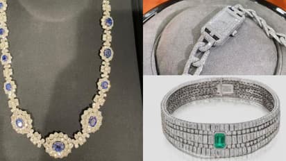 19 മിനിറ്റ്, 13 മുറികൾ, ഹുഡിയും കാർഗോ പാന്റ്സും ധരിച്ചെത്തിയ യുവാവിന്റെ മിന്നൽ മോഷണം, നഷ്ടമായത് 111 കോടി